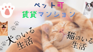 【賃貸】　グランディール・セラ　ペット可